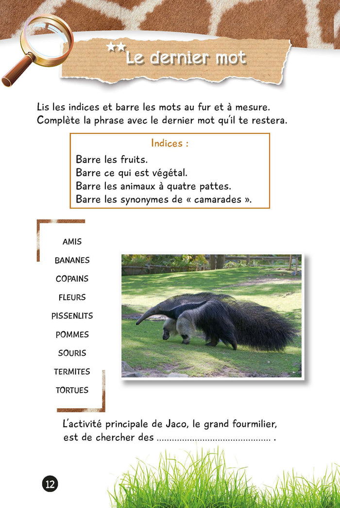 Mystères et jeux malins UNE SAISON AU ZOO