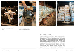 La cuisine des lacs italiens