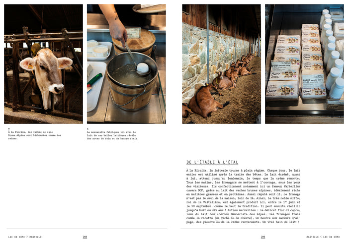 La cuisine des lacs italiens