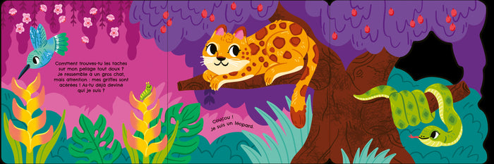 Coucou ! Qui se cache dans la jungle ?