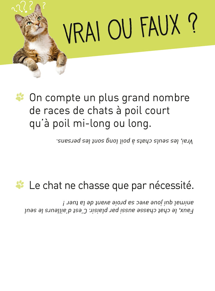 Boîte Quiz Donne ta langue au Chat !