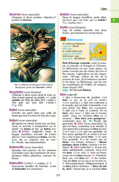 Dictionnaire Hachette Junior