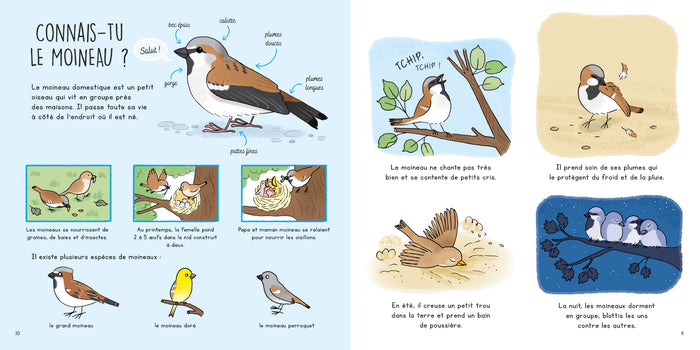 Connais-tu les petites bêtes du jardin ?