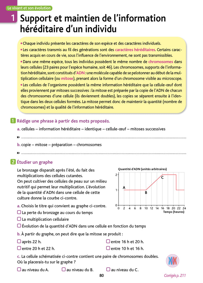Réussir le Brevet 2025