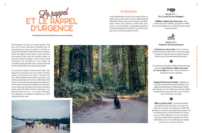 Voyager avec son chien