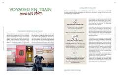 Voyager avec son chien