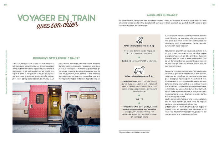 Voyager avec son chien