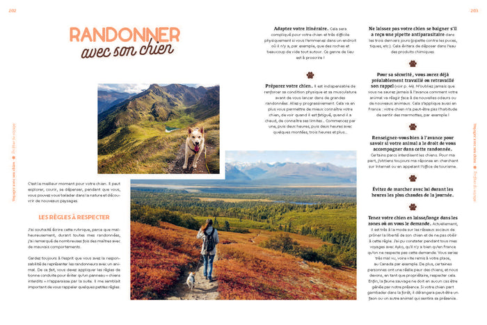 Voyager avec son chien