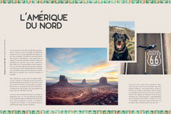 Voyager avec son chien