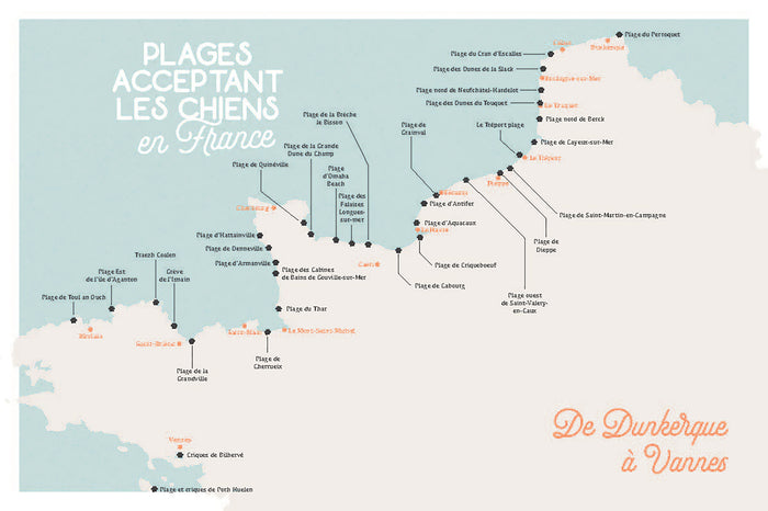 Voyager avec son chien