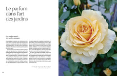 Un jardin comme un parfum