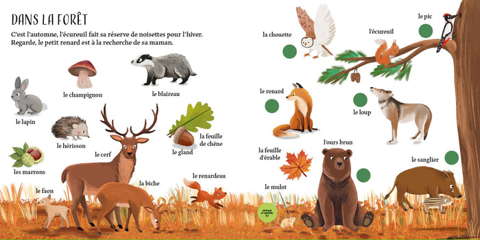 Mon grand imagier sonore