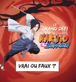 Naruto - Le Grand Défi Hokage