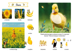 Le grand imagier des couleurs à toucher