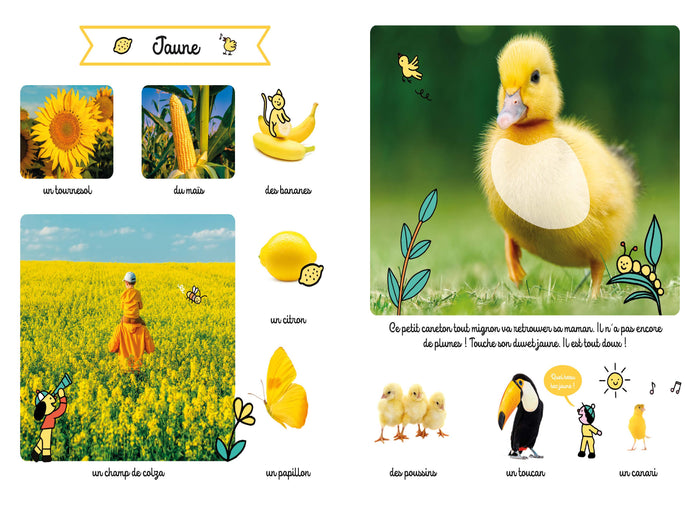 Le grand imagier des couleurs à toucher