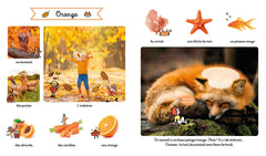 Le grand imagier des couleurs à toucher