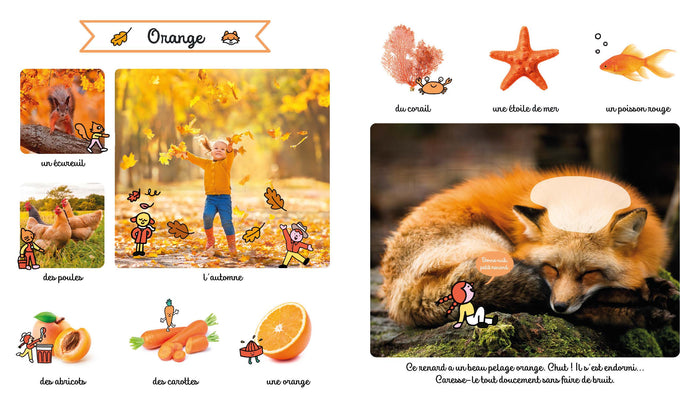 Le grand imagier des couleurs à toucher