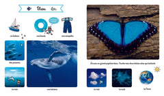 Le grand imagier des couleurs à toucher