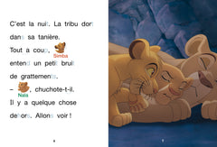 Le Roi Lion - Une nuit dans la savane