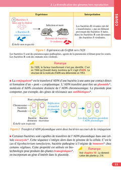 Objectif Bac Tle spécialité SVT