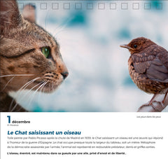 365 jours adorables chats et chatons