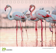 365 jours sublime nature - Calendriers GEO