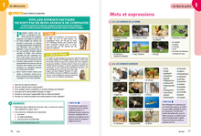 Nouvelle Génération B1