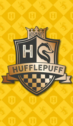 Harry Potter - Coffret papeterie avec plume et carnets édition 2024