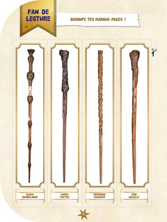 Harry Potter - Ma valise créative