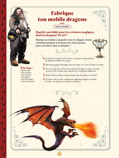 Harry Potter - Une année à Poudlard - Le guide d'activités officiel