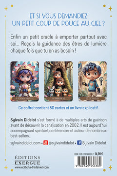 Le pocket oracle des potes en ciel