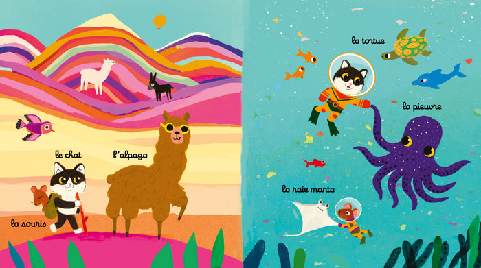 Le voyage de Petit Chat