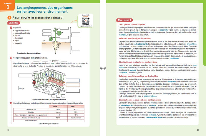 Biologie-Géologie - J'assure mon entrée en prépa