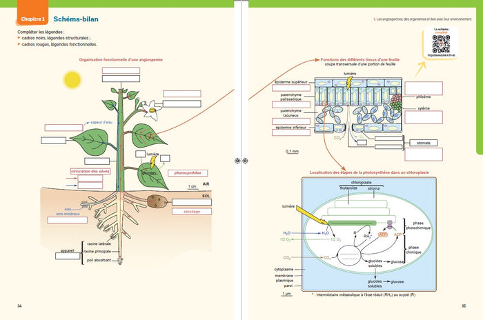 Biologie-Géologie - J'assure mon entrée en prépa