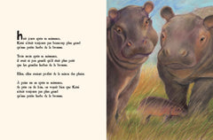 Le Petit Hippopotamtam (Panda poche)