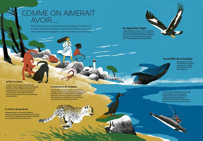 De la tête aux pieds