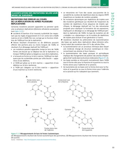 Biologie moléculaire - Génétique - Biotechnologies