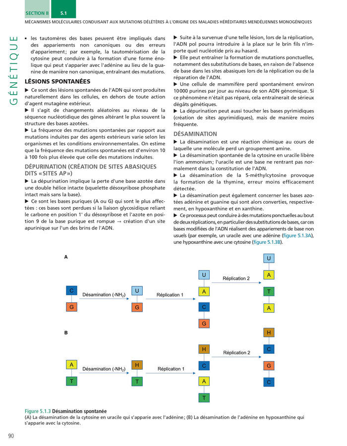 Biologie moléculaire - Génétique - Biotechnologies