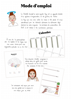 Mon Bullet Journal Infirmier