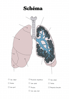 Mon Bullet Journal Infirmier