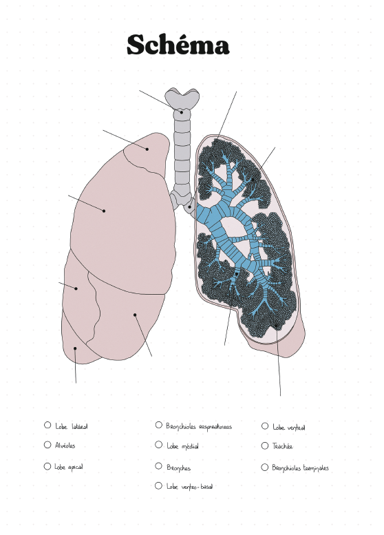 Mon Bullet Journal Infirmier