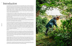 Bouillons bienfaisants