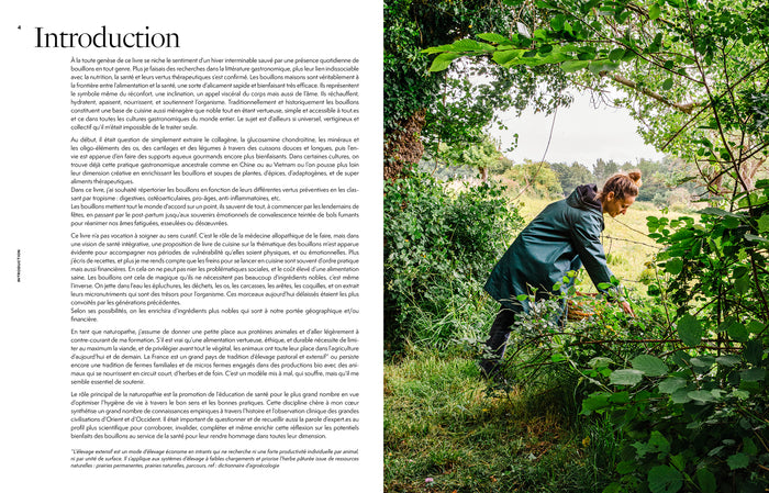 Bouillons bienfaisants