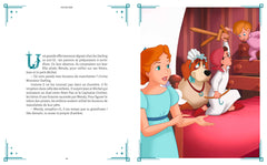 Le Grimoire des Fées - les 10 plus belles histoires des fées