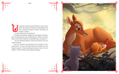 DISNEY - Le Grimoire des Héros - 10 histoires de Pinocchio au Roi Lion