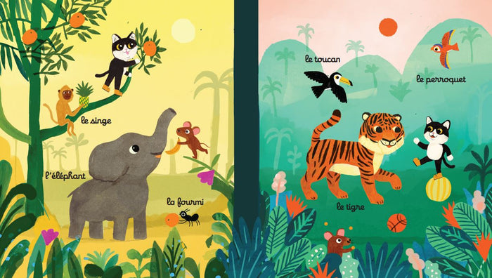 Le voyage de Petit Chat