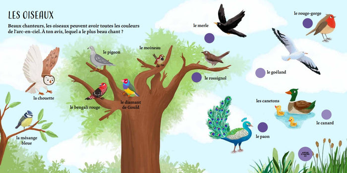 Mon grand imagier sonore