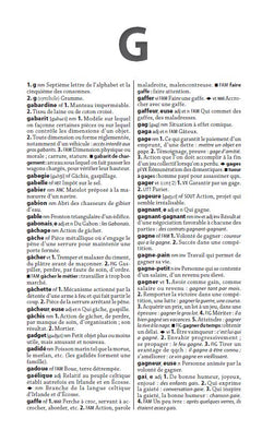 Dictionnaire Larousse Poche Plus 2025