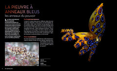 Fascinantes créatures, la vie secrète des animaux des profondeurs et des abysses