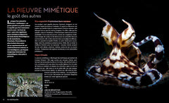 Fascinantes créatures, la vie secrète des animaux des profondeurs et des abysses